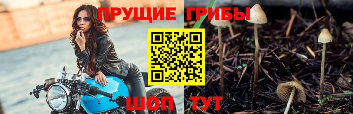 Галлюциногенные грибы ЛСД  Вход с VPN  Воркута 